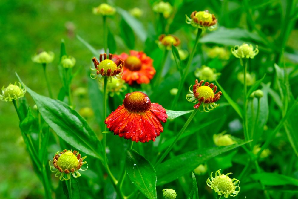 Photograph by Елена Масленникова