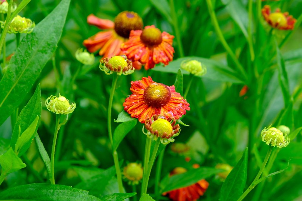 после дождя...