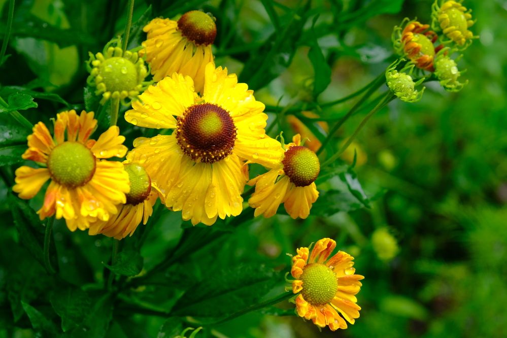 Photograph by Елена Масленникова