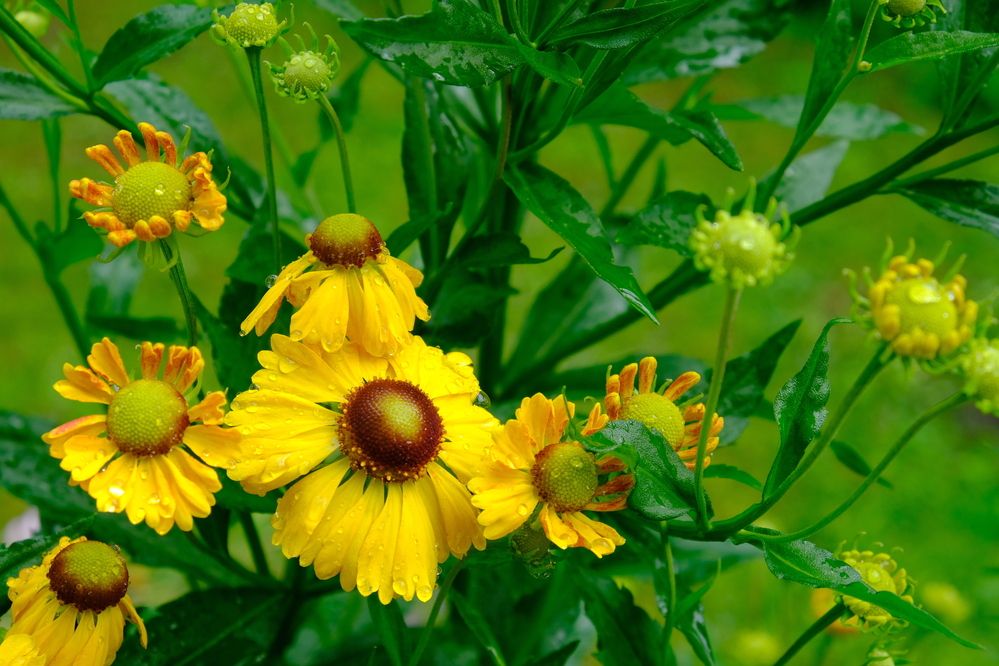 Photograph by Елена Масленникова