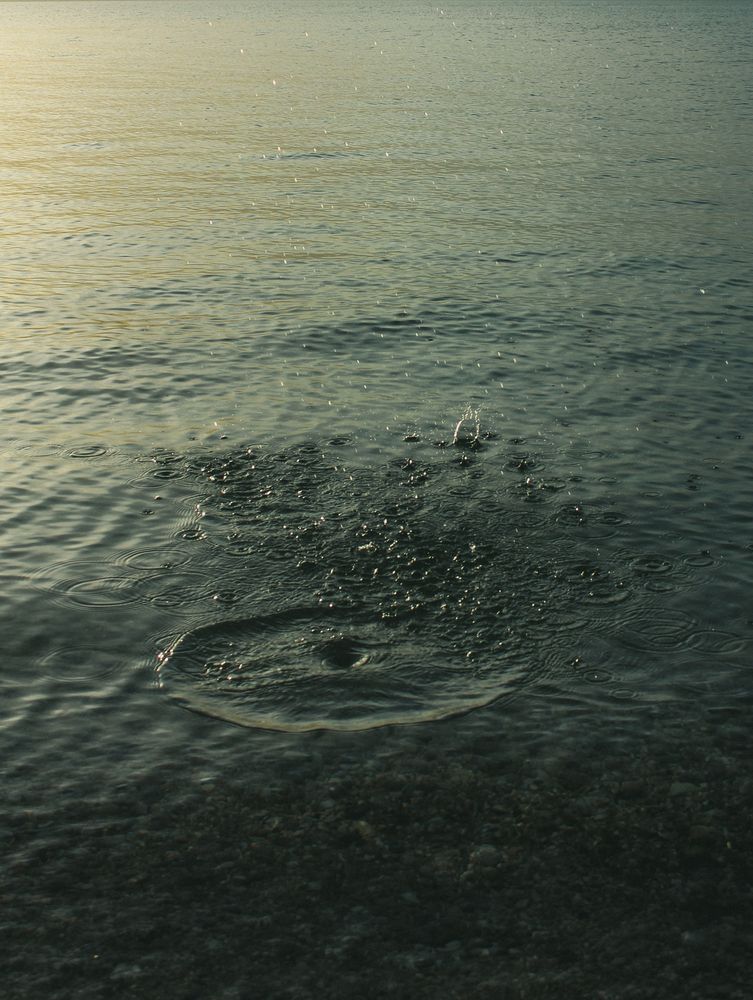 Photograph by Natalia Safronova