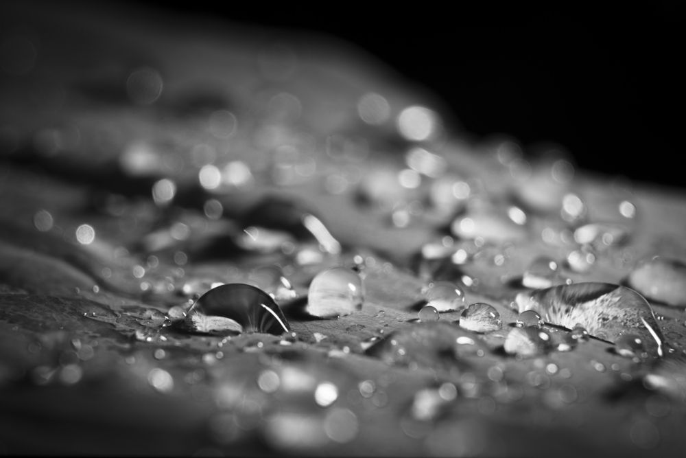 Photograph by Кирилл Владыкин