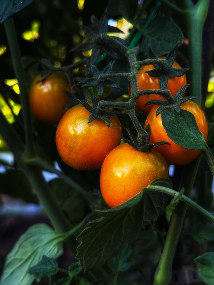 Photograph by Юлия Чернышёва