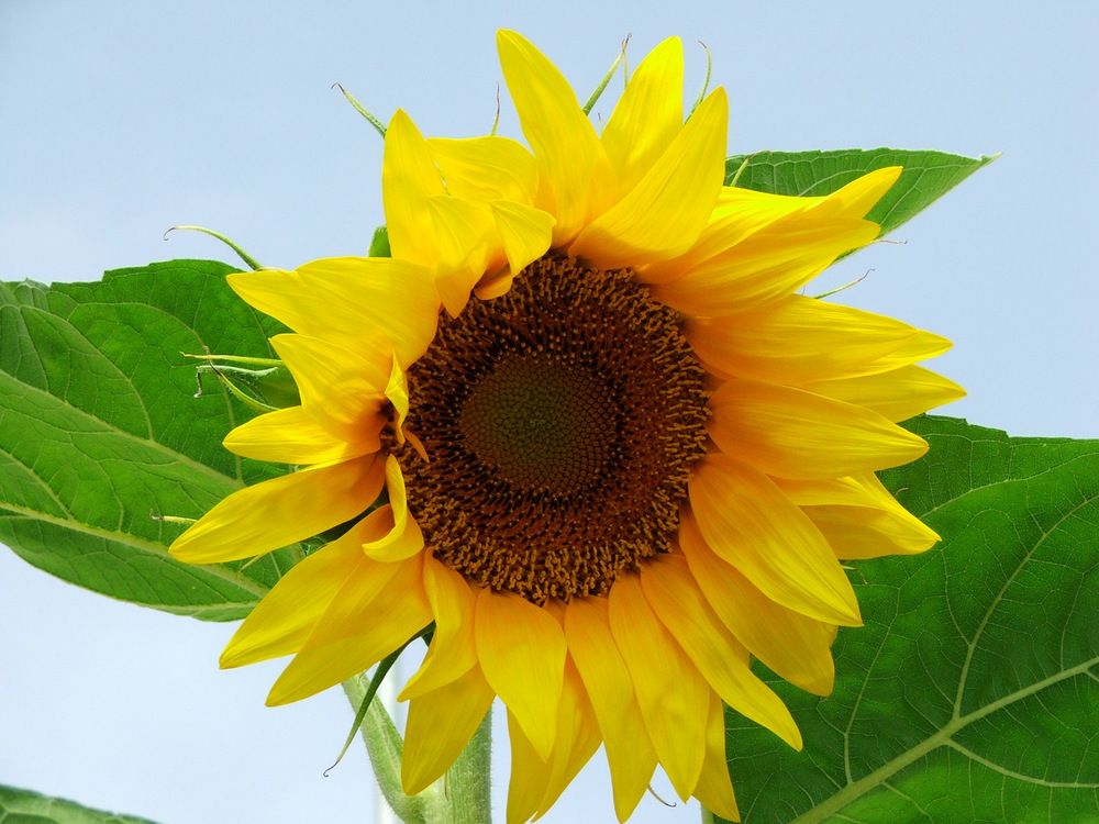 Photograph by Cengiz Yalcin