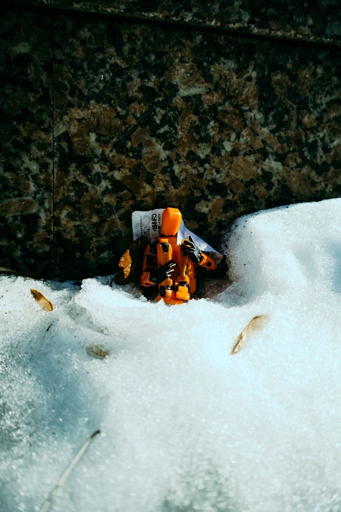 Photograph by Старков Валерий