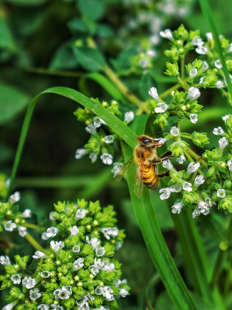 Photograph by zahra salardini