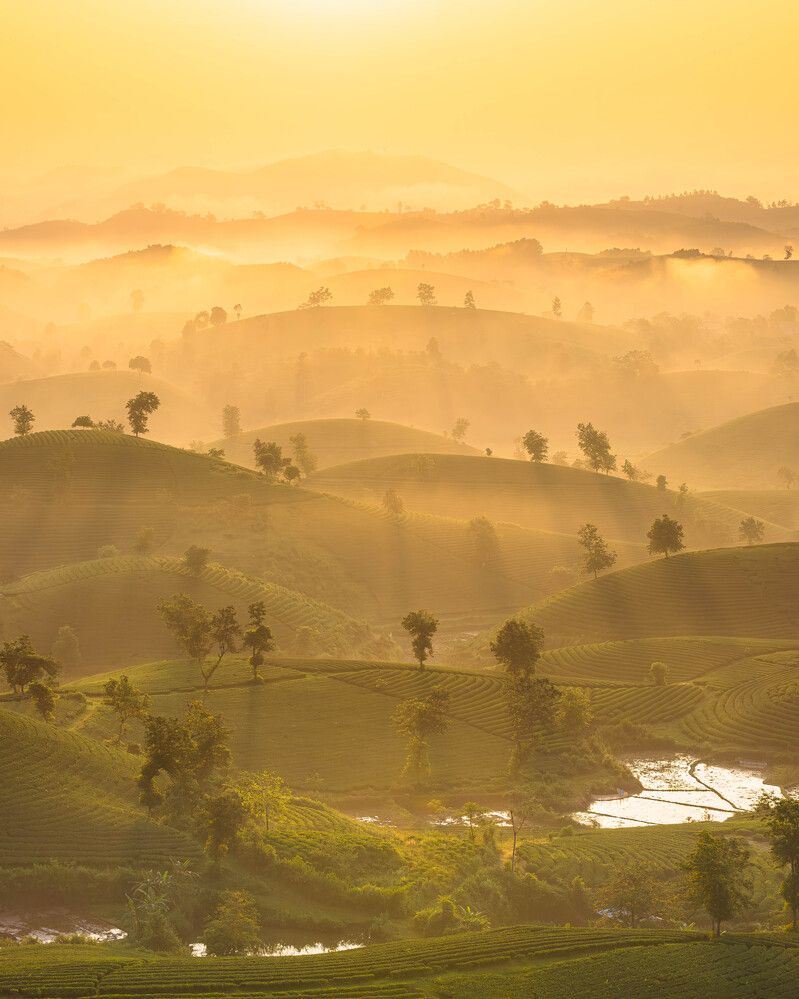 Photograph by Duc Nguyen