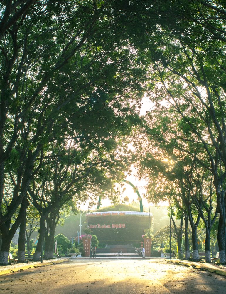 Фотография автора Henry Tran