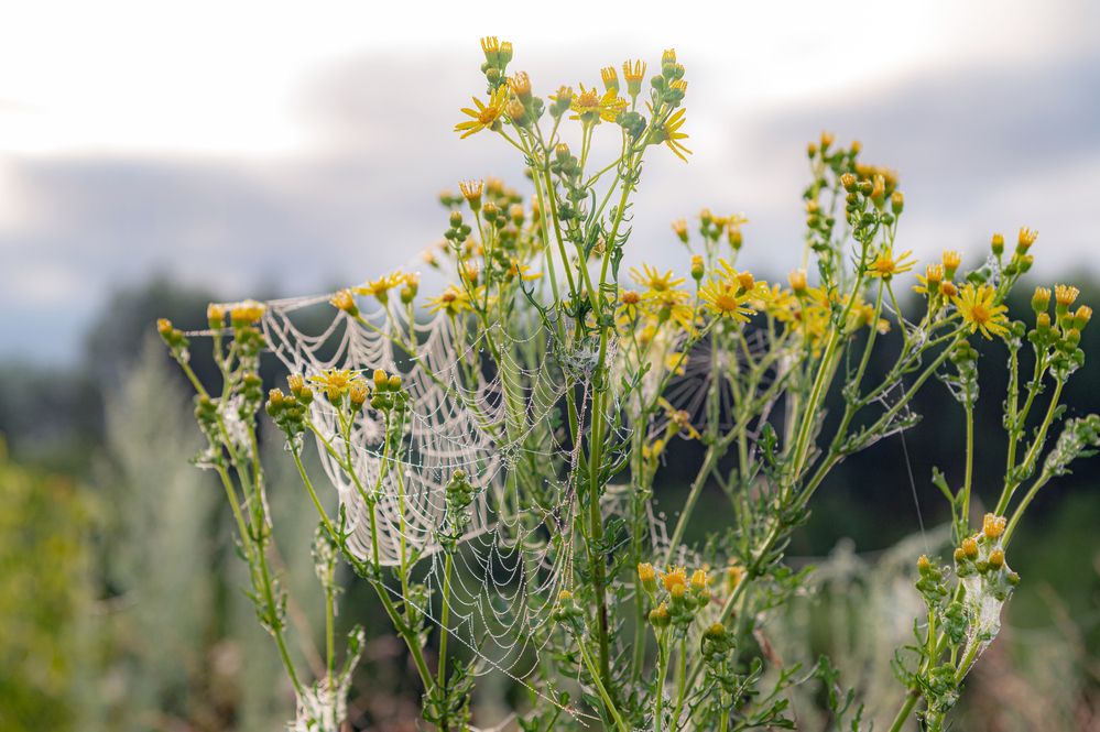 Photograph by Алексей