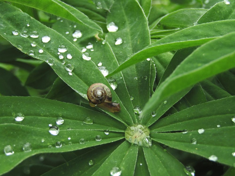 Photograph by Olga Kot