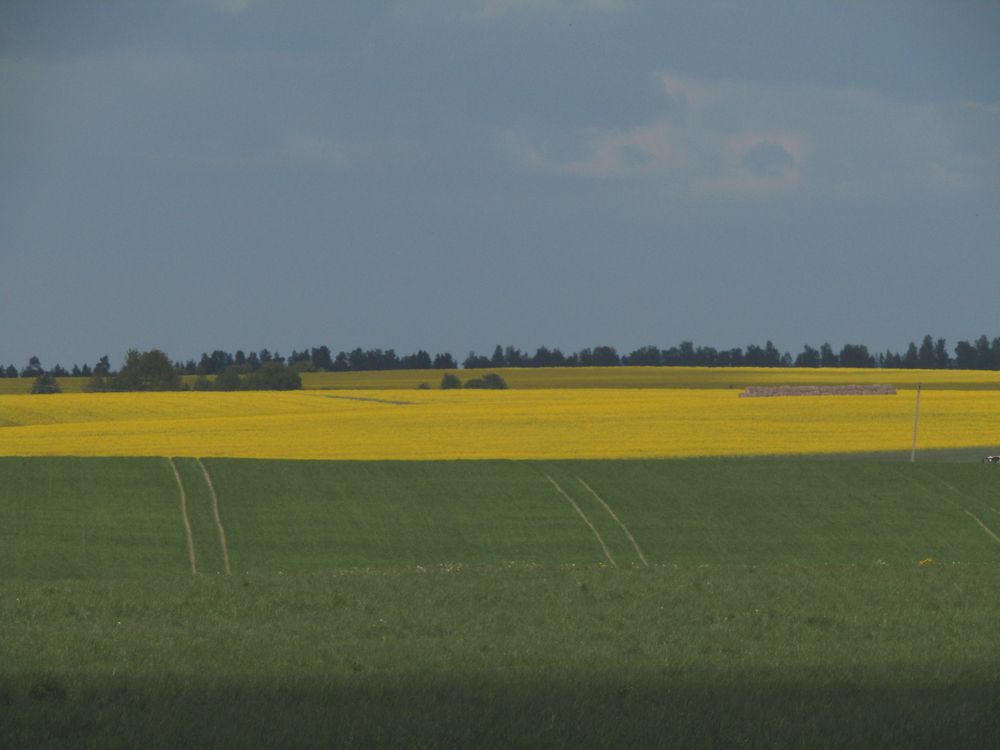 Photograph by Olga Kot