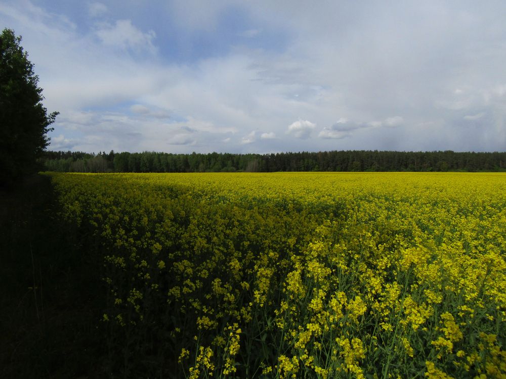 Photograph by Olga Kot