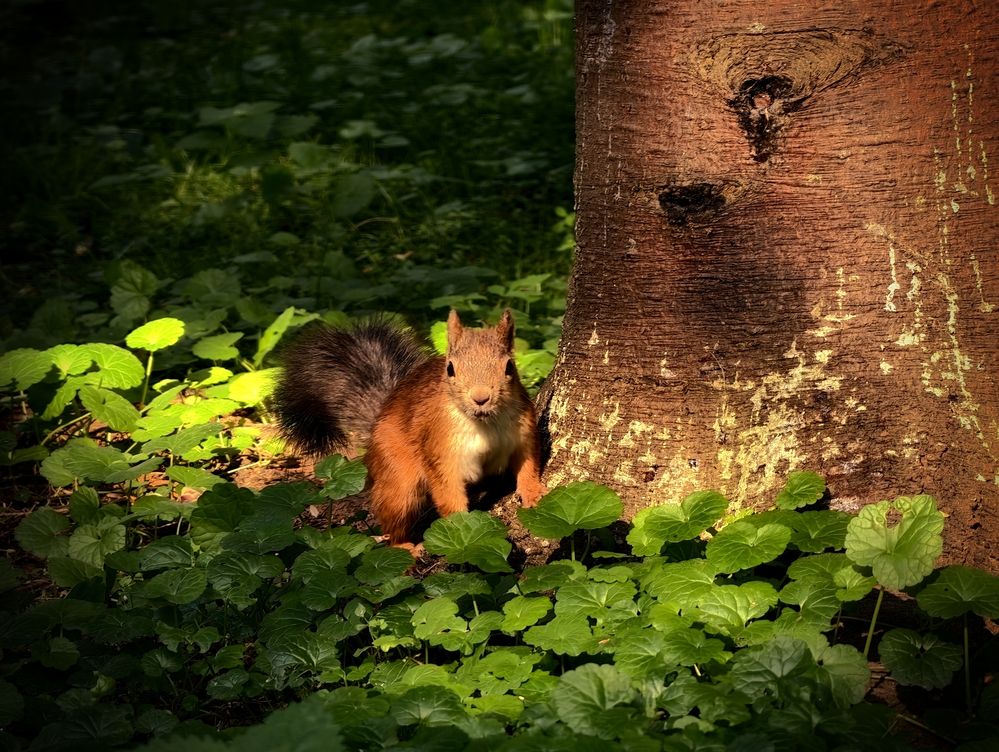 Photograph by Андрей Зима