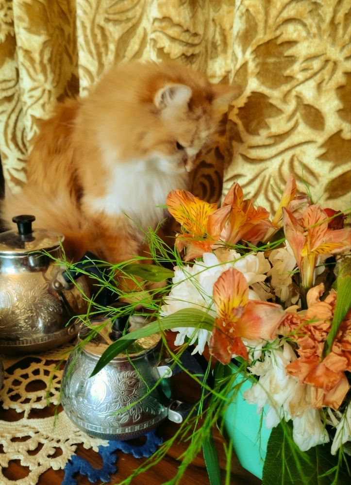 Photograph by Надежда Болтунова