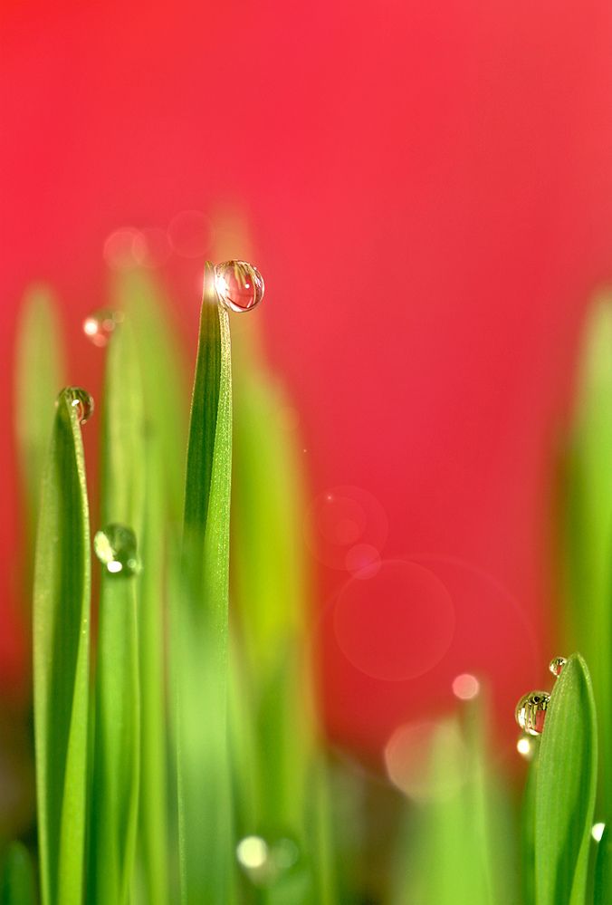 Фотография автора Кулешов Сергей