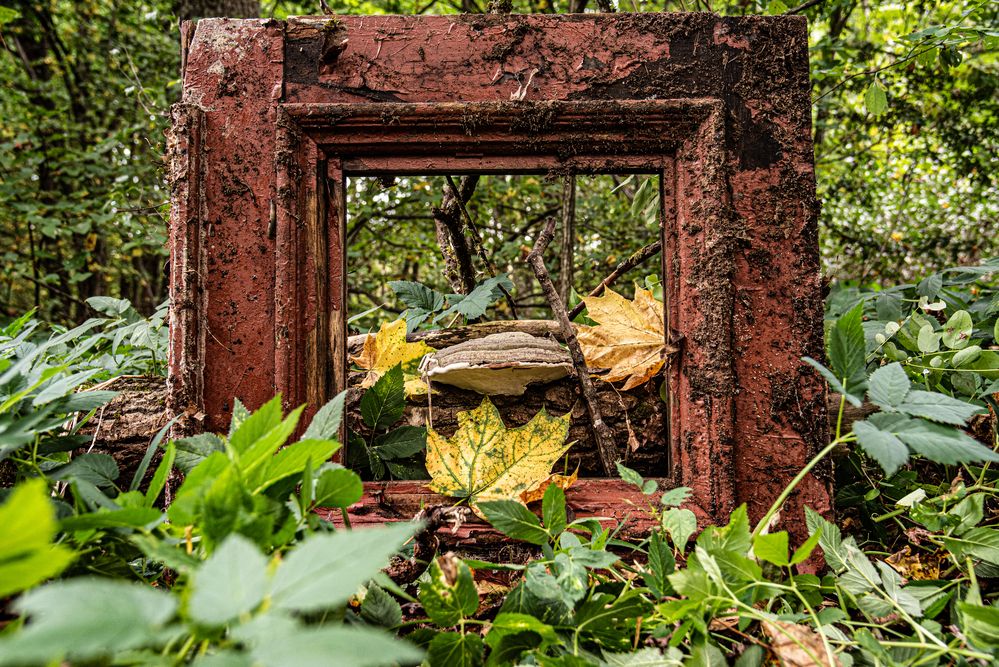 Фотография автора Aliaksandr Shautsou