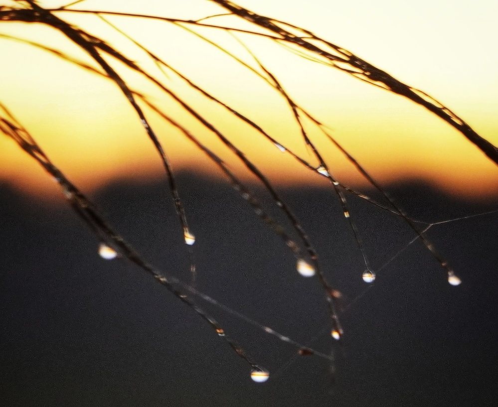 Photograph by Марина Безенкина