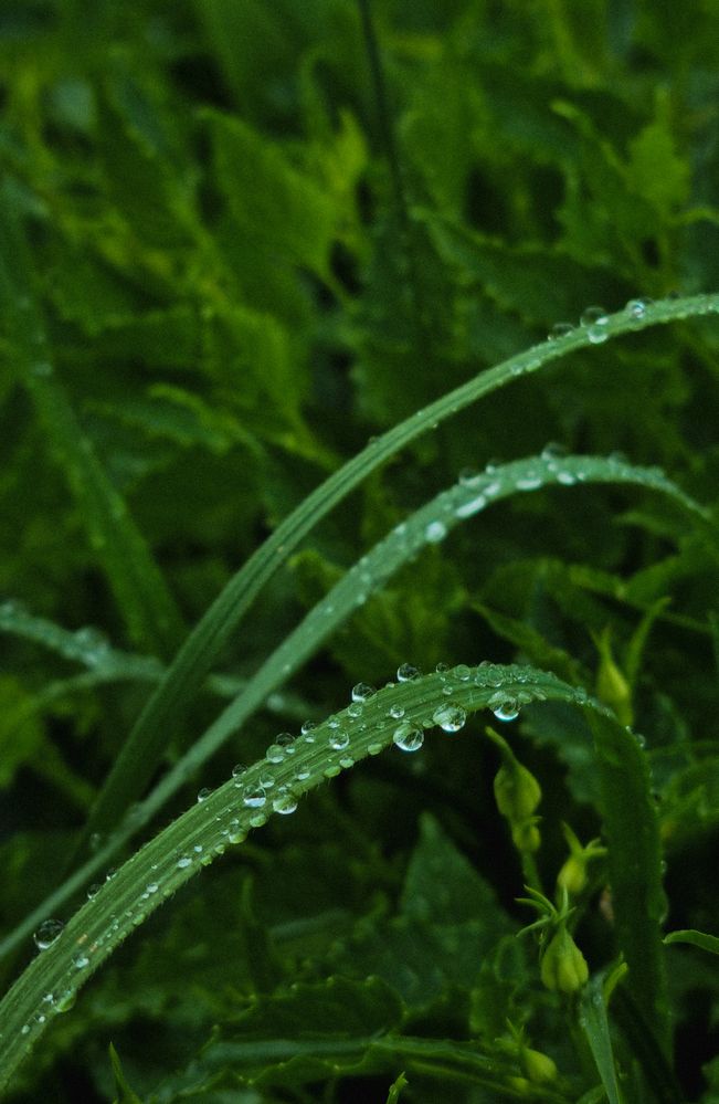 Фотография автора Наталья Агапова