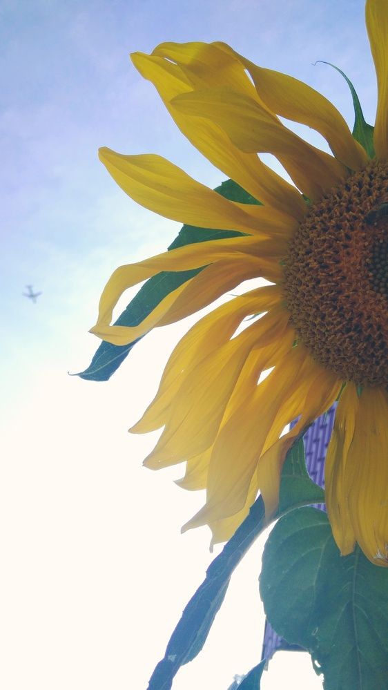 Photograph by Елена Абрамова