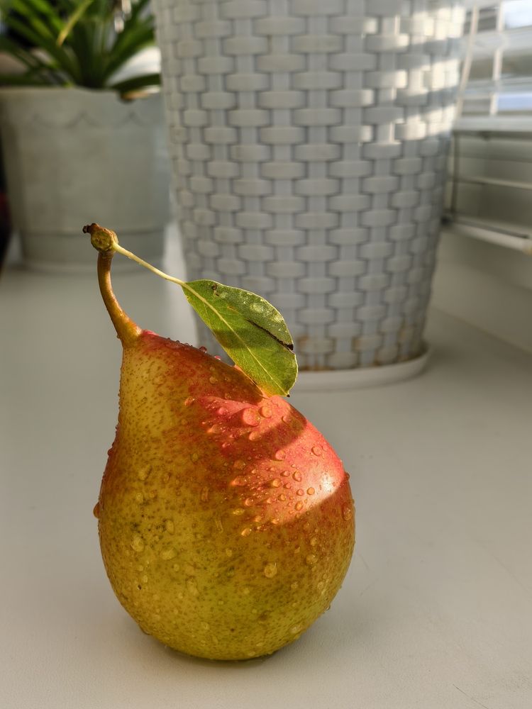 Фотография автора Наталья Агапова