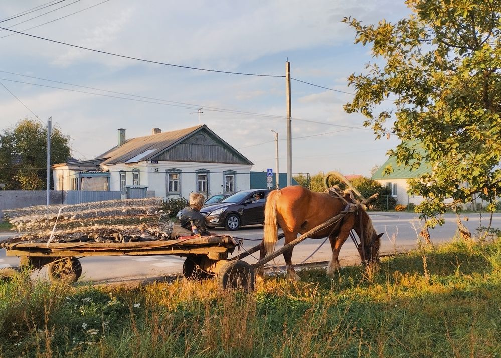 Фотография автора Надежда Болтунова