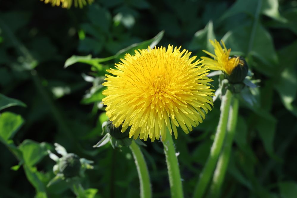 Photograph by Ольга Кириллова