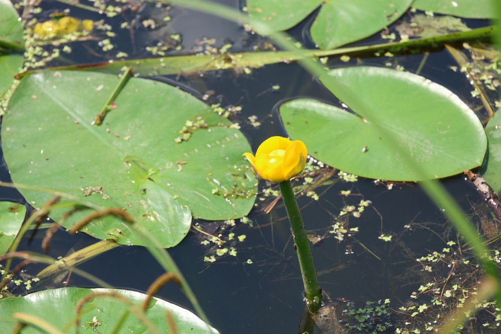 Photograph by Ольга Кириллова