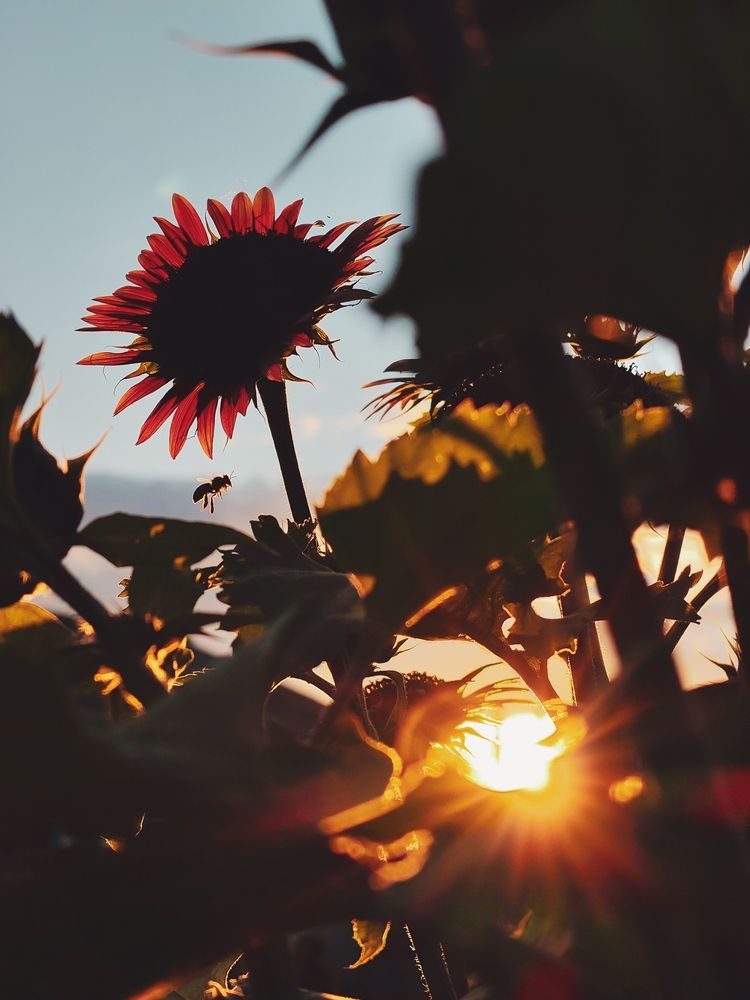 Photograph by Анна Хлыстова