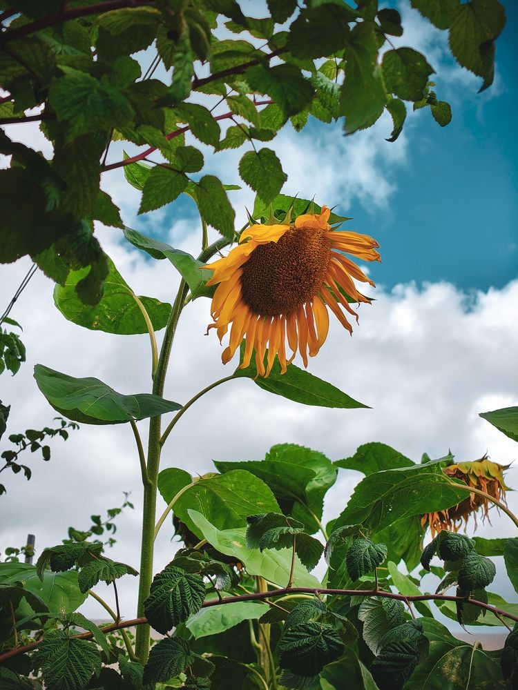 Photograph by Анна Хлыстова