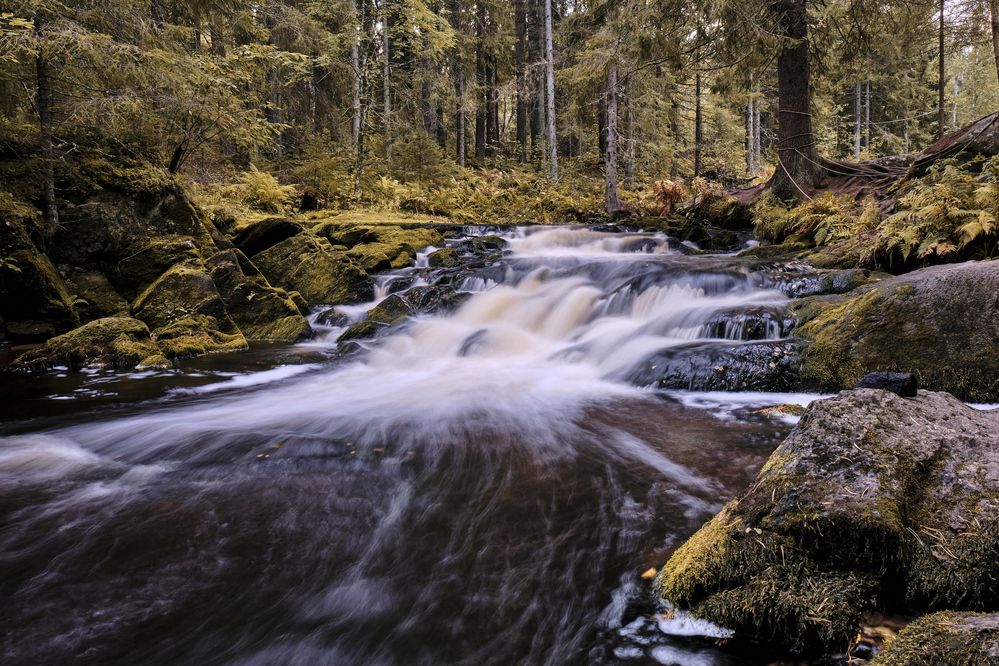 Photograph by Алексей Малов