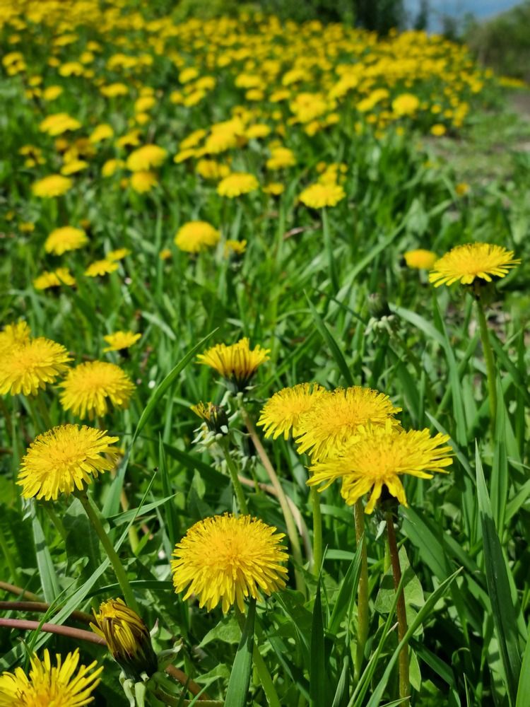 Фотография автора Наталья Агапова