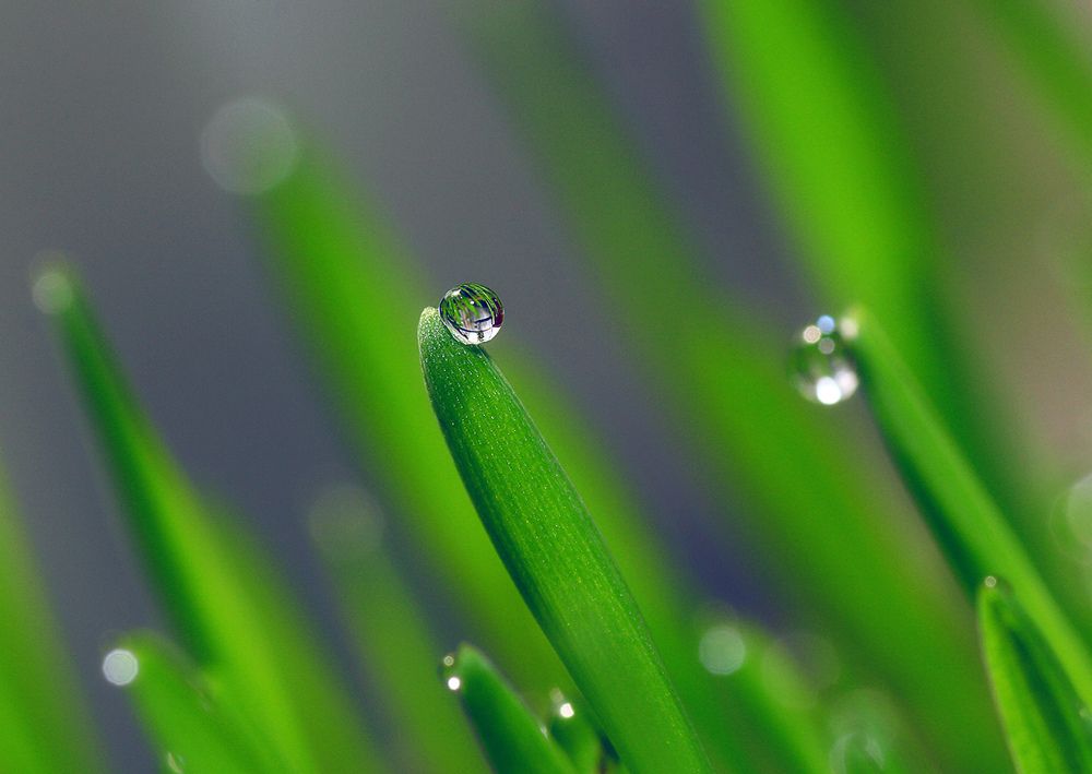 Фотография автора Кулешов Сергей
