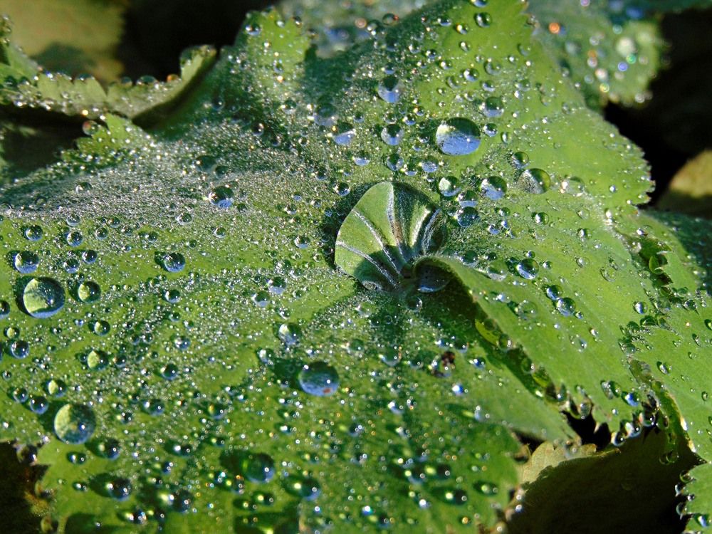 Photograph by Алена