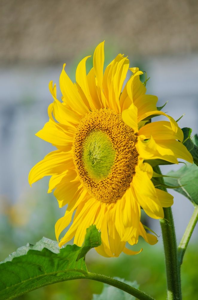 Photograph by Любовь Бусова