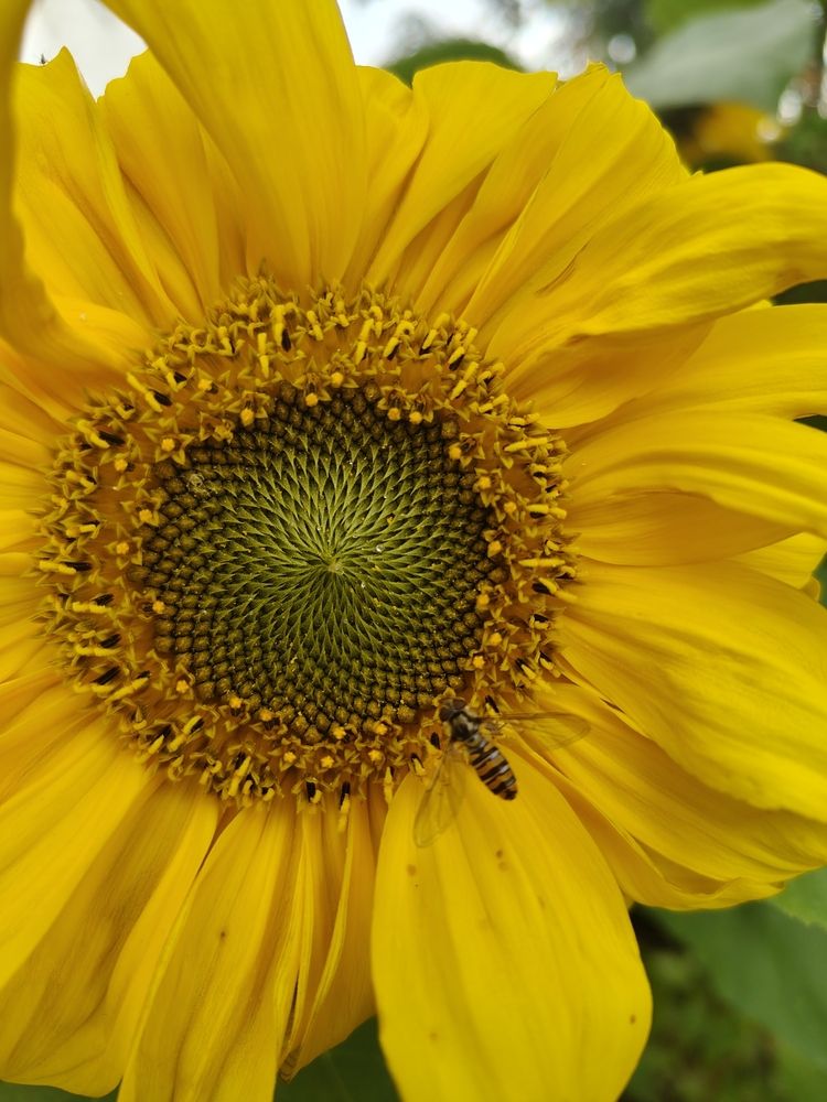 Photograph by Наталья Билай