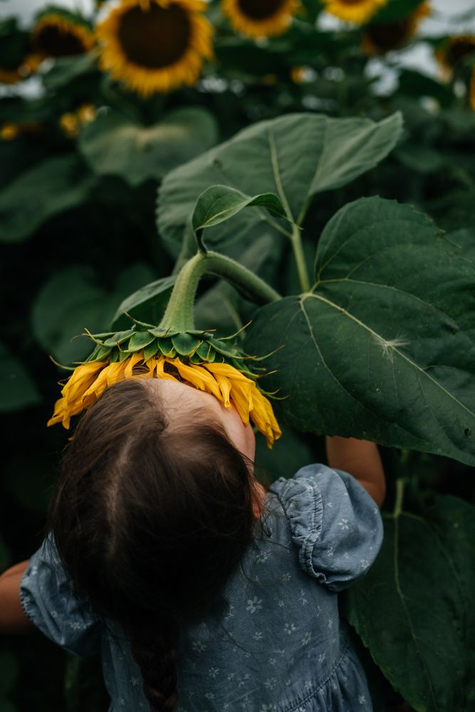 Photograph by Екатерина Сковорода