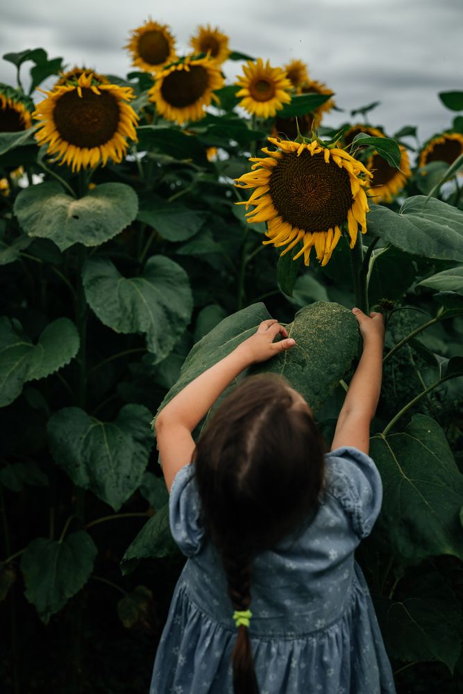 Photograph by Екатерина Сковорода