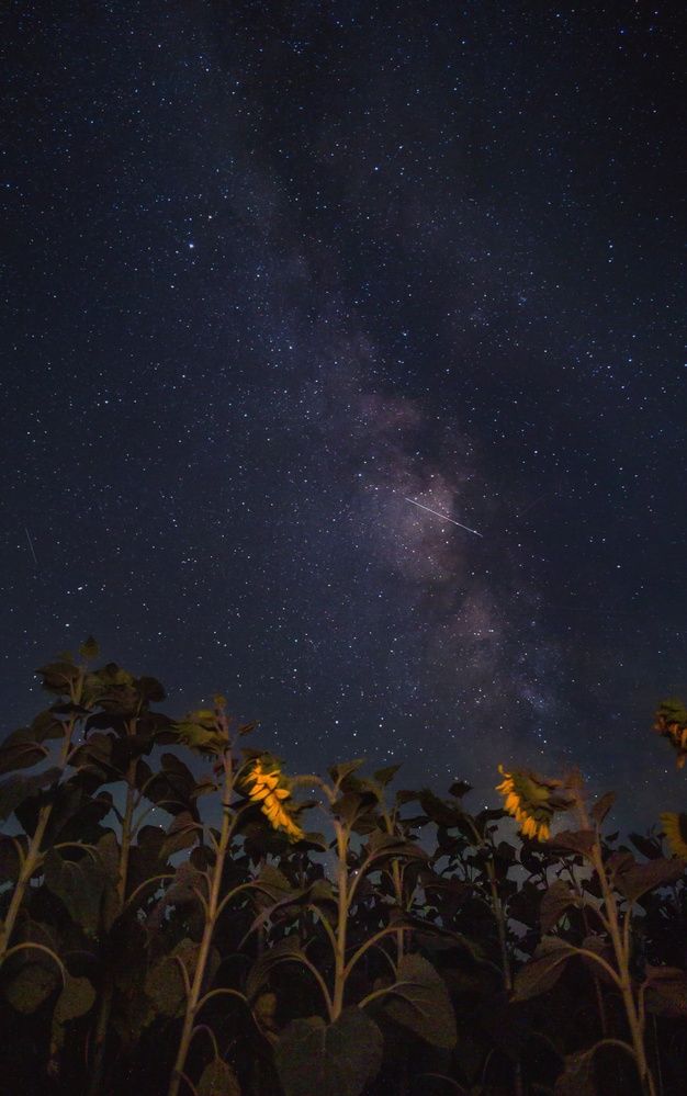 Photograph by Сергей Зайцев