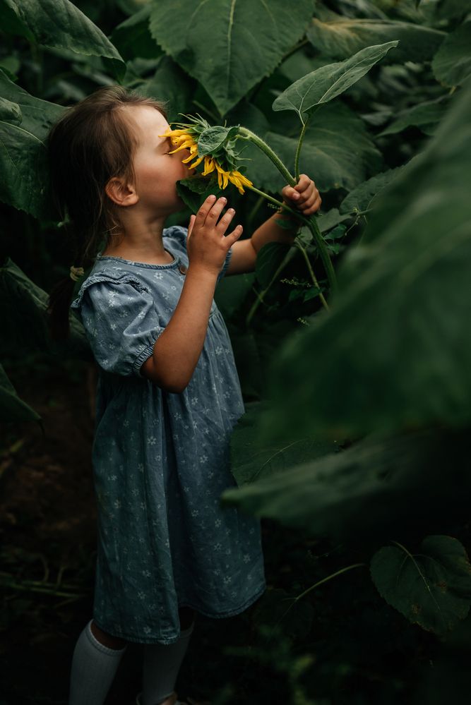 Photograph by Екатерина Сковорода