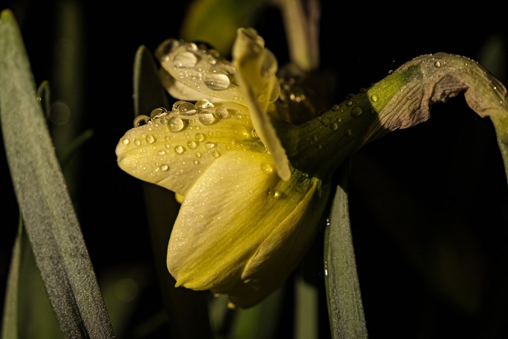 Photograph by Сергей Кравченко