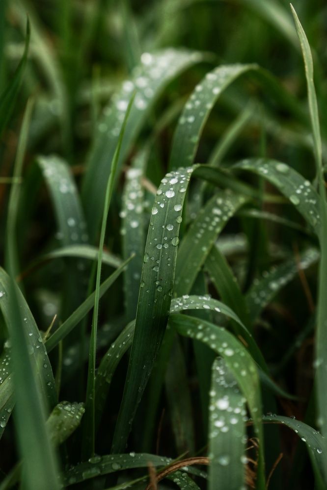 Photograph by Сергей Кравченко