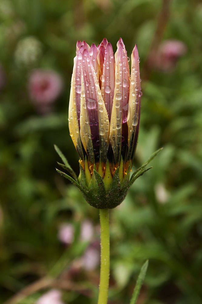 Photograph by Татьяна Дрозд