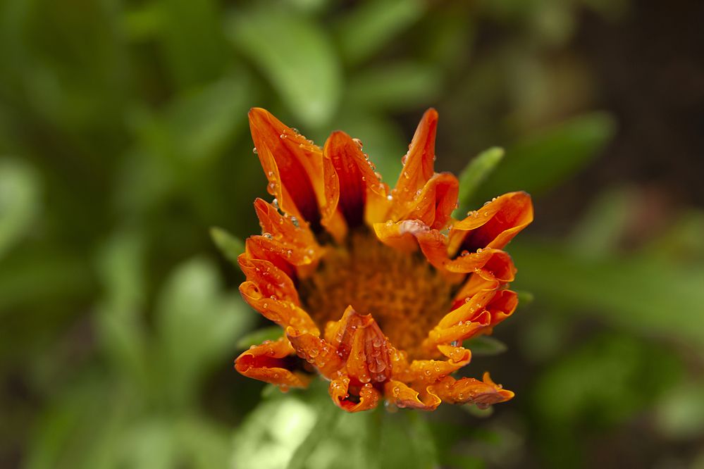 Photograph by Татьяна Дрозд