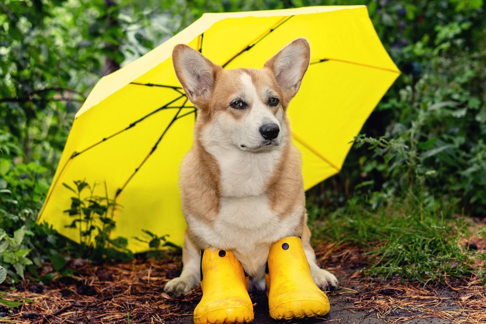 Фотография автора Елена Попова