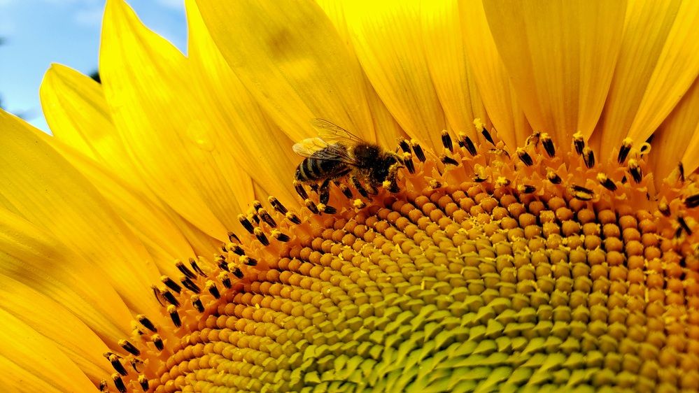 Photograph by Сергей Кравченко