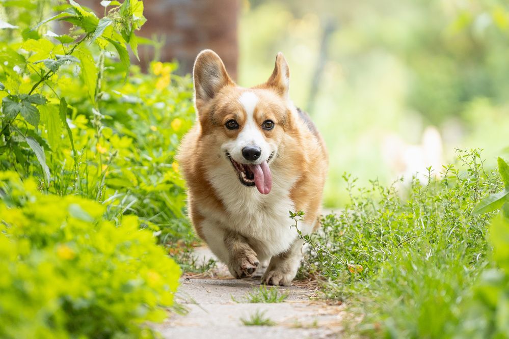 Фотография автора Елена Попова