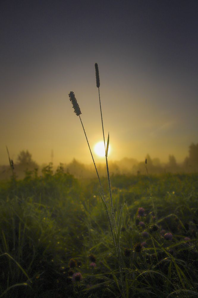 Photograph by Любовь Перевозникова