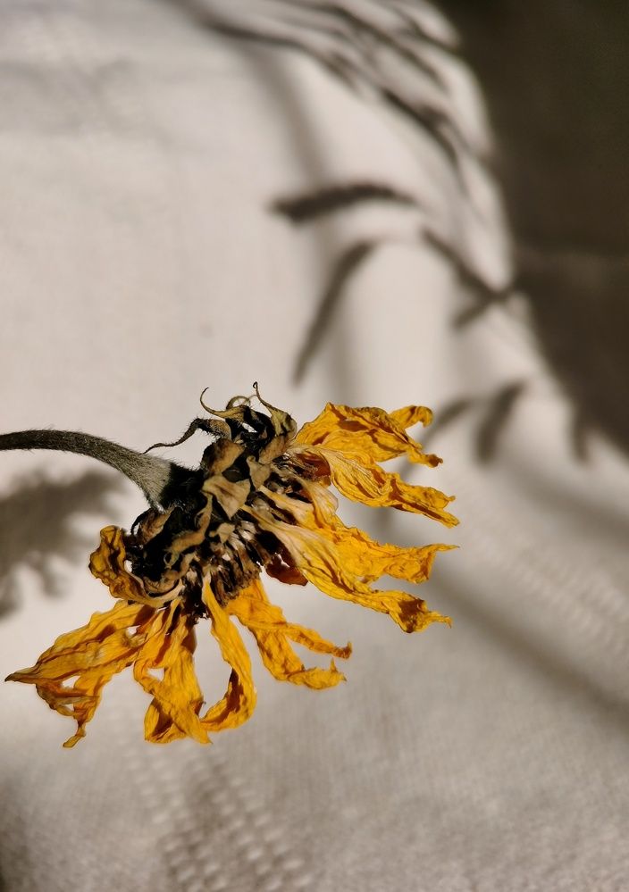 Photograph by Гульназ Шайхисламова