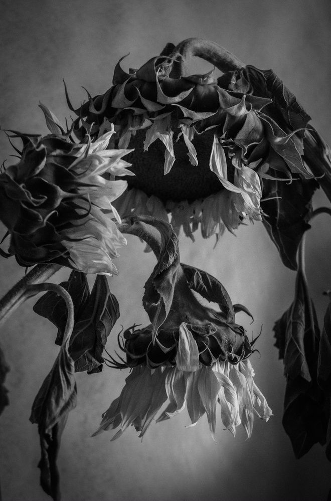 Photograph by Анна Орехова