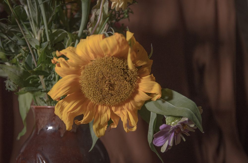 Photograph by Анна Орехова